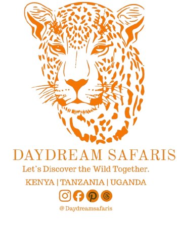 Daydream Safaris fr