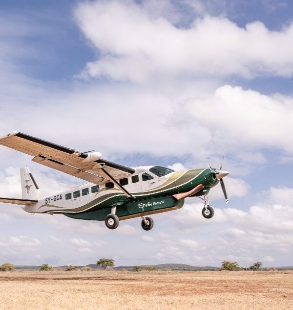 Flight aviation