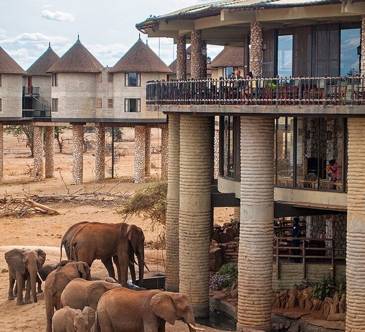 The Ultimate Guide to Planning Your African Safari in 2026