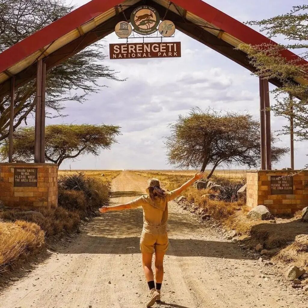 serengeti safari