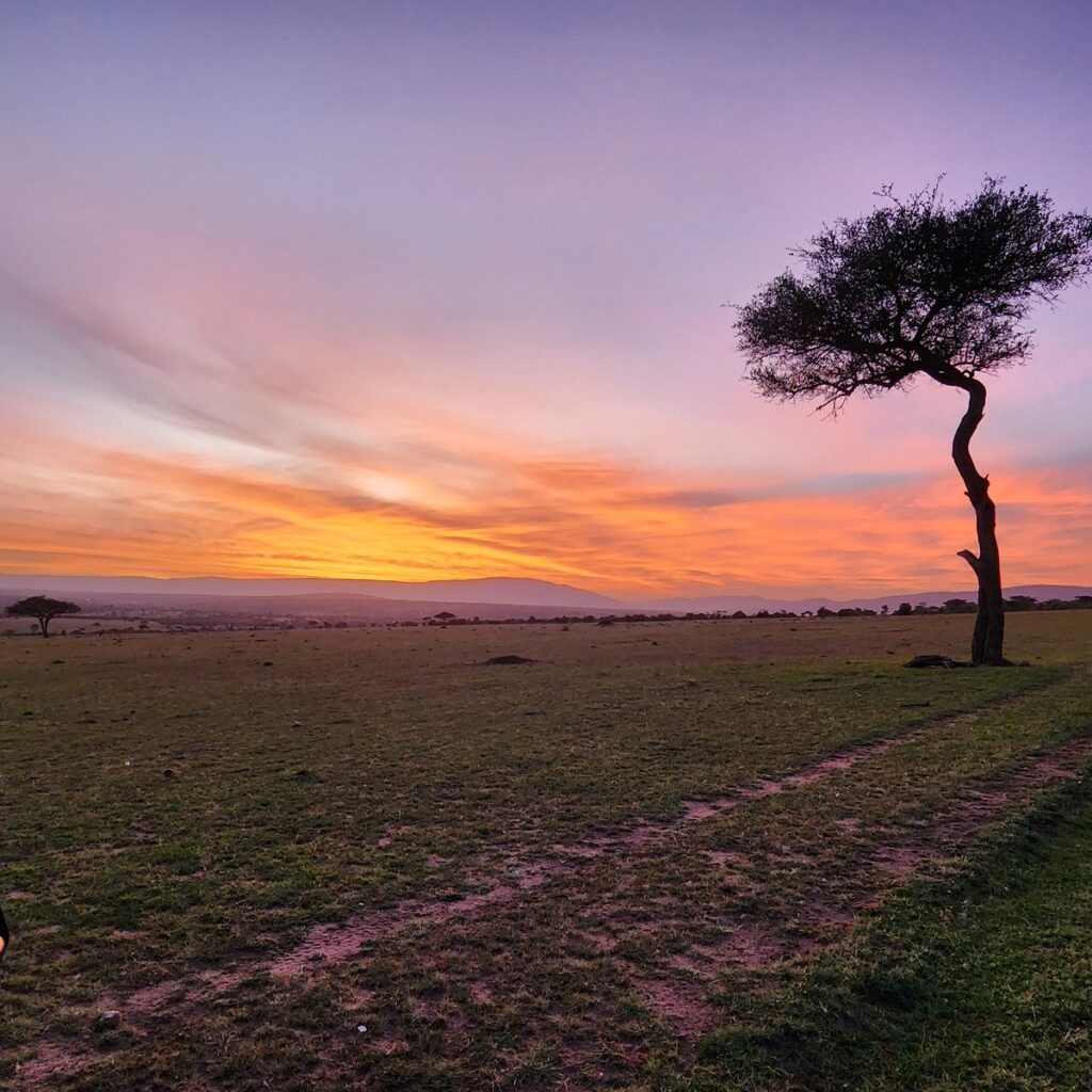sundowners